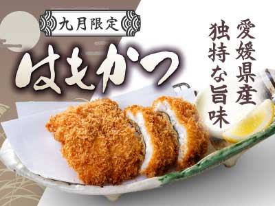 47サムネ画像